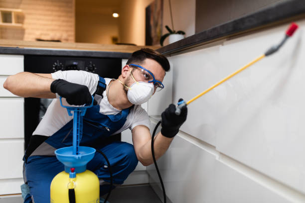 Best Pest Removal Services  in Charenton, LA