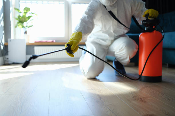 Best Flea Control Services  in Charenton, LA