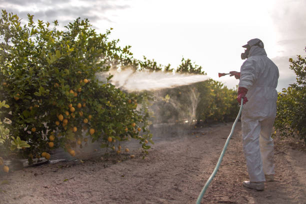 Reliable Charenton, LA Pest Control Solutions