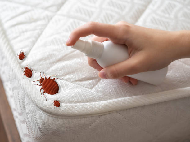 Best Best Pest Control Companies  in Charenton, LA